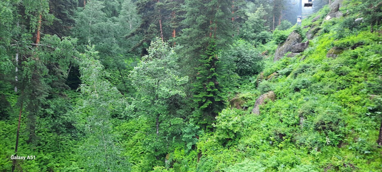 Гостиница Благодать Белокуриха-98