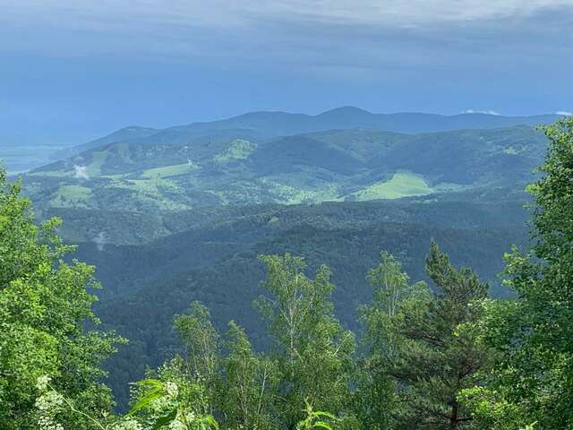 Гостиница Благодать Белокуриха-31